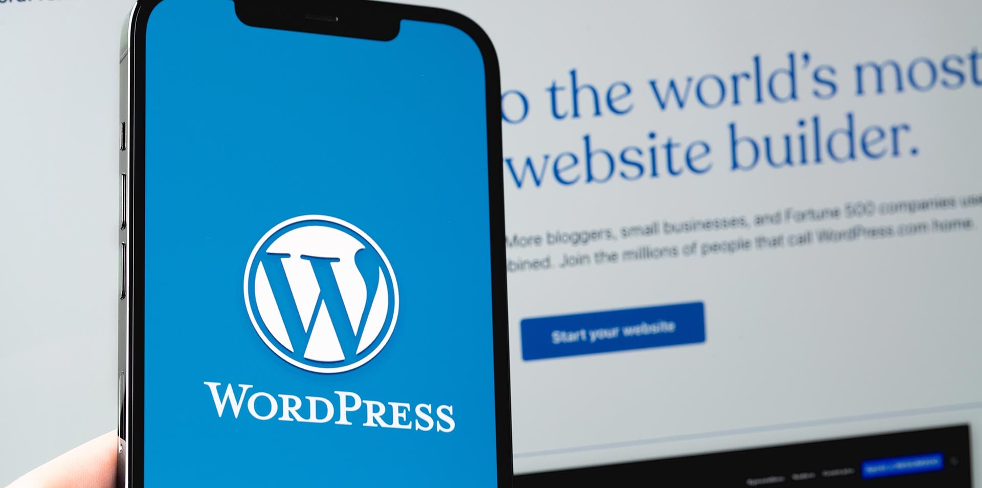 why wordpress